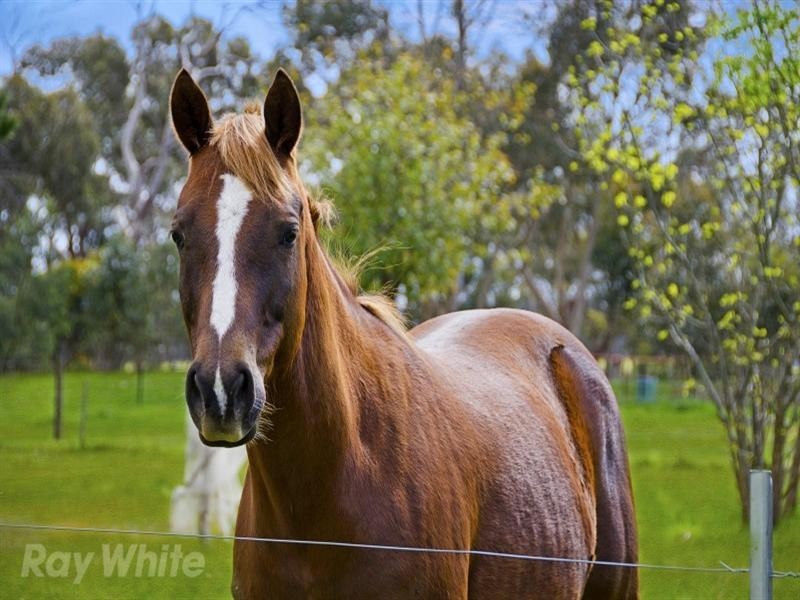 10 Clarkes Road, Anakie VIC 3221