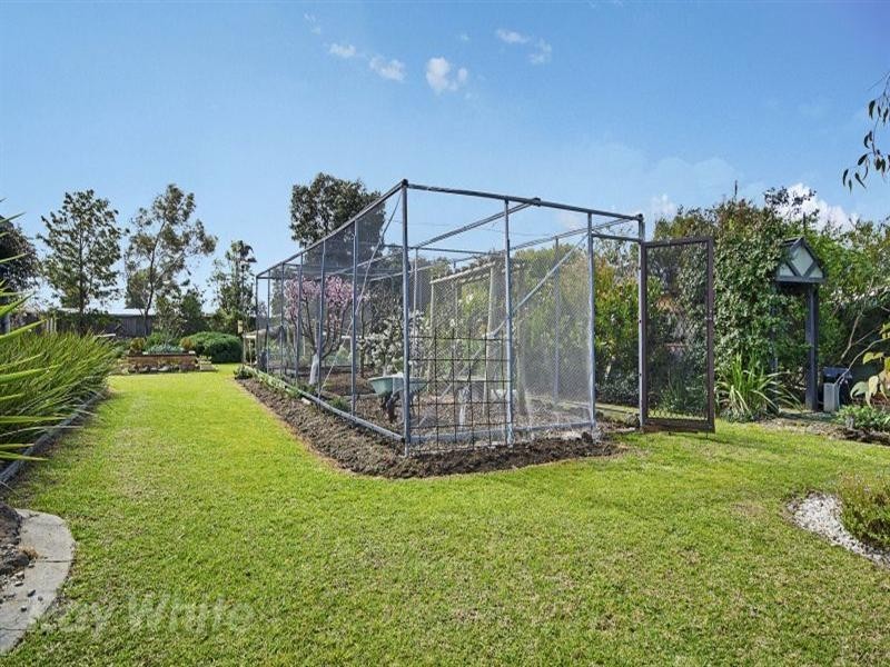 53 Levy Road, Bannockburn VIC 3331