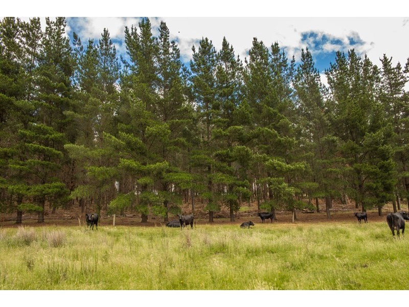 Mount Mercer VIC 3352