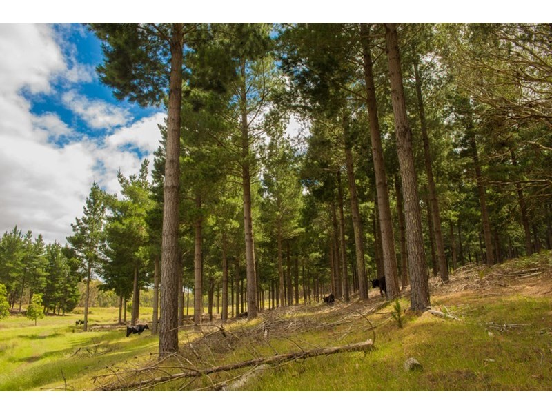 Mount Mercer VIC 3352