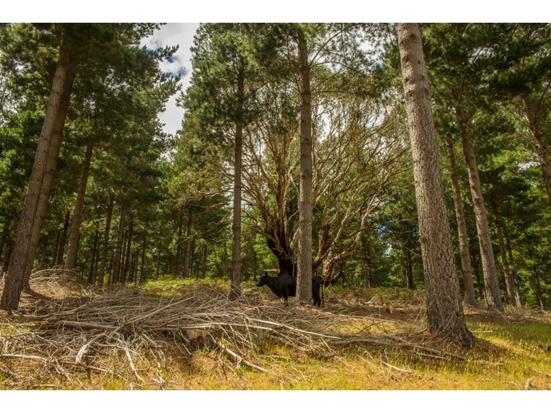 Mount Mercer VIC 3352