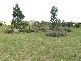 14 Inverlochy Drive, Bannockburn VIC 3331