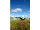 1098 Hamilton Highway, Stonehaven VIC 3221