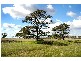 1098 Hamilton Highway, Stonehaven VIC 3221