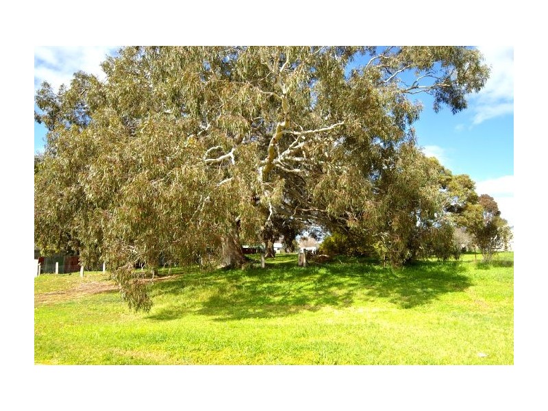 36 High Street, Inverleigh VIC 3321