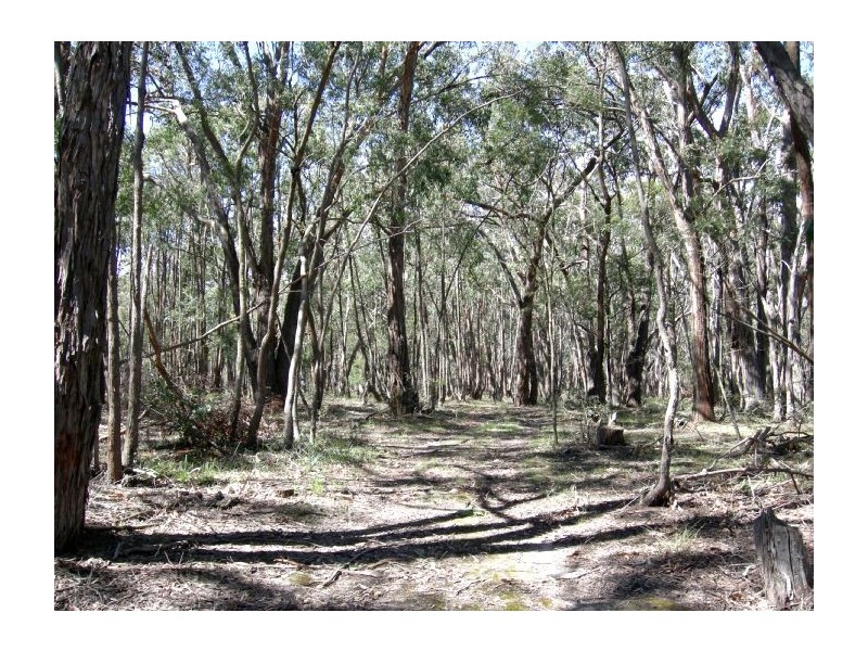 Lot 2 Mount Doran – Elaine Road, Elaine VIC 3334