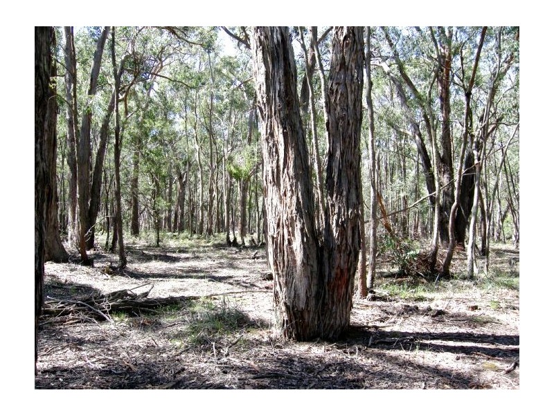 Lot 2 Mount Doran – Elaine Road, Elaine VIC 3334