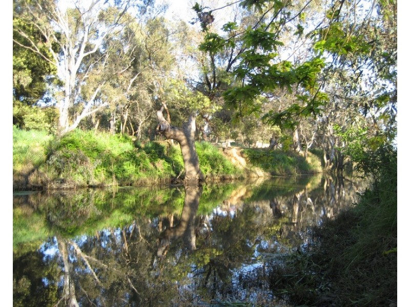 20 Glenmore Street, Winchelsea VIC 3241