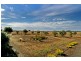 53 Maddens Road, Bannockburn VIC 3331