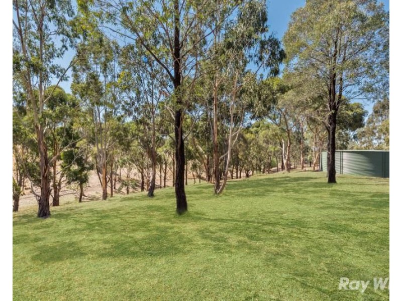 117 Savage Drive, Inverleigh VIC 3321