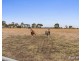 275 Tall Tree Road, Lethbridge VIC 3332