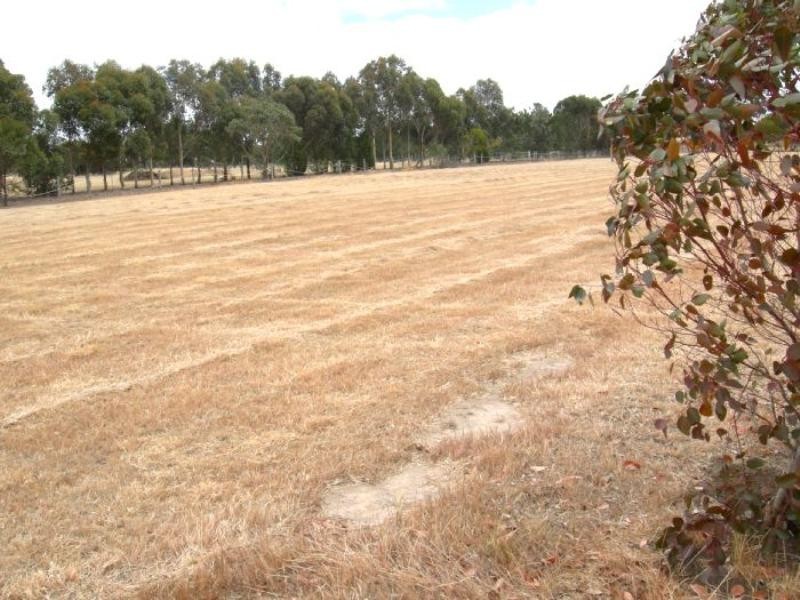105 Burnside Road, Bannockburn VIC 3331