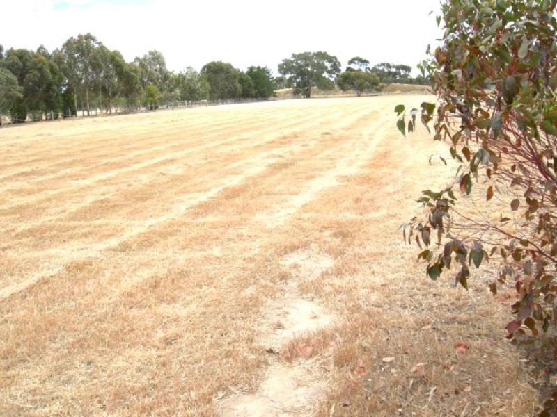 105 Burnside Road, Bannockburn VIC 3331
