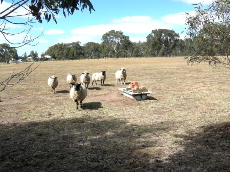 Lot 3, 1A Squires Road, Teesdale VIC 3328