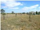 Lot 3, 1A Squires Road, Teesdale VIC 3328