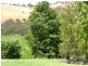 60 Spiller Road, Lethbridge VIC 3332