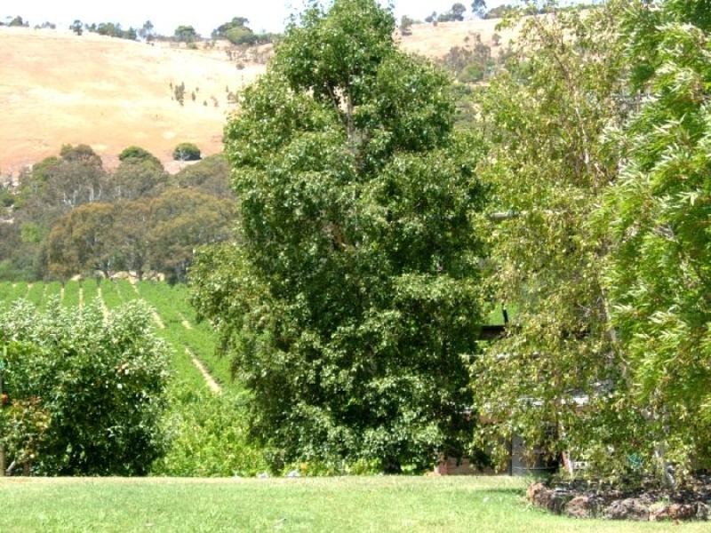 60 Spiller Road, Lethbridge VIC 3332