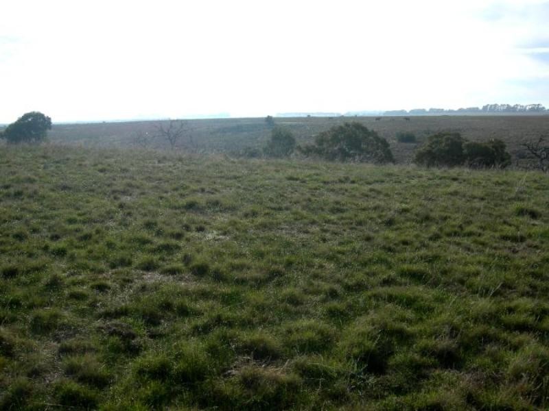 Lot 2,  CA 13 Squires Road, Teesdale VIC 3328