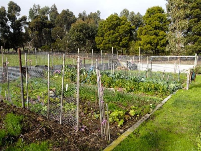 98 Sutherland Street, Teesdale VIC 3328