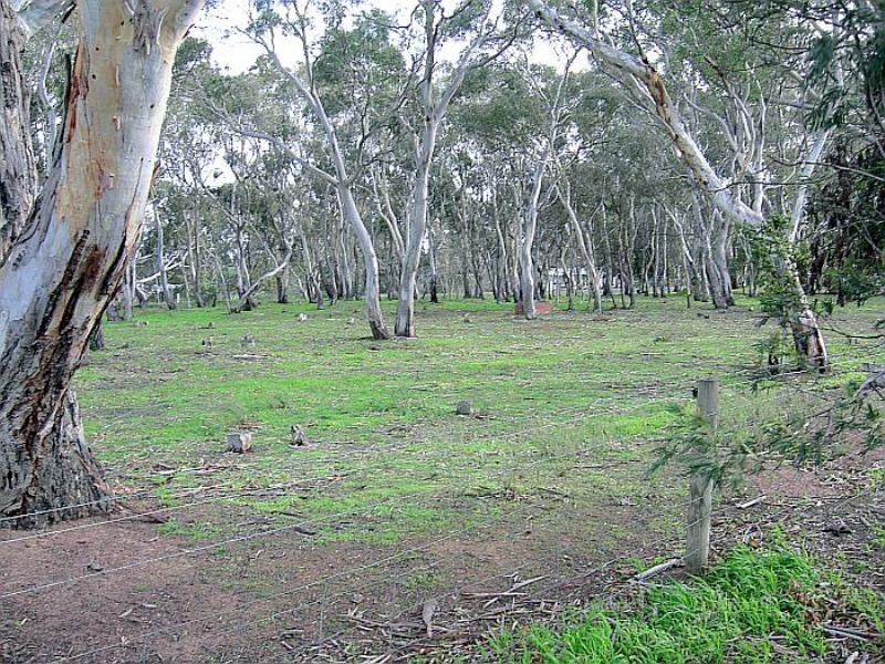 80 Common Road, Inverleigh VIC 3321