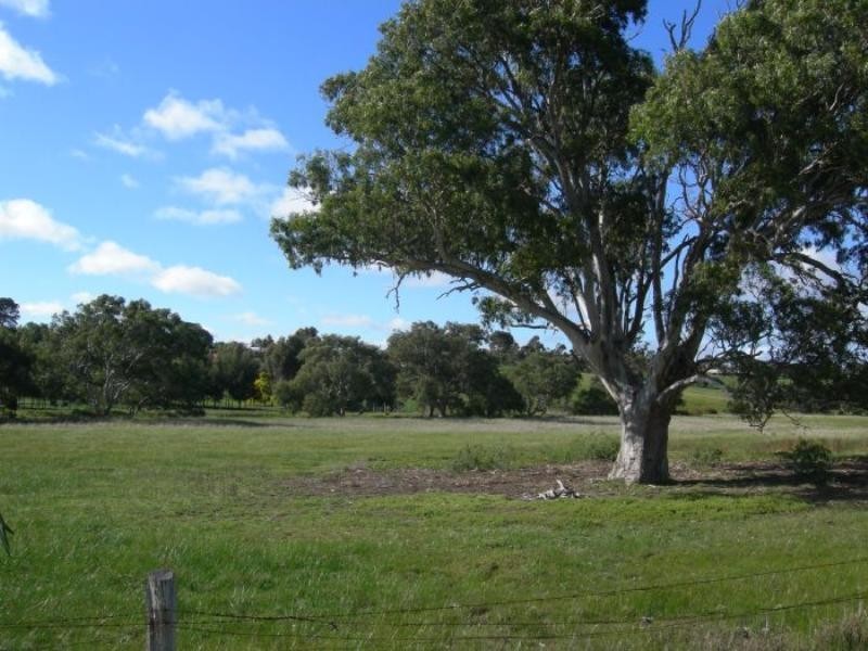 CA46 and 46A Teesdale-Inverleigh Road, Teesdale VIC 3328
