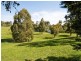 33 Jollys Road, Teesdale VIC 3328