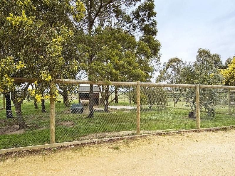 1673 Bamganie Road, Elaine VIC 3334
