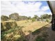 1175 Bannockburn/Shelford Road, Teesdale VIC 3328