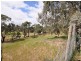 1175 Bannockburn/Shelford Road, Teesdale VIC 3328