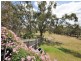 1175 Bannockburn/Shelford Road, Teesdale VIC 3328