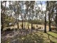 1175 Bannockburn/Shelford Road, Teesdale VIC 3328