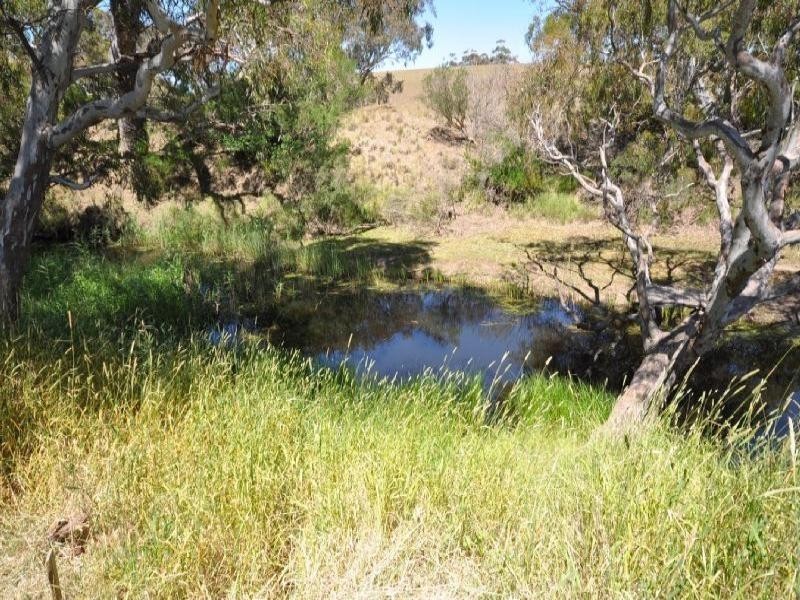 95 Rawson Road, Inverleigh VIC 3321