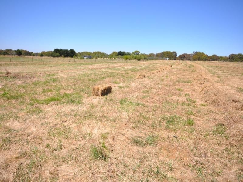 95 Rawson Road, Inverleigh VIC 3321