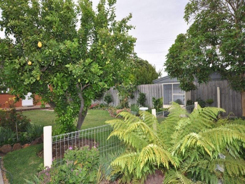 72 Ruhamah Avenue, Bell Post Hill VIC 3215
