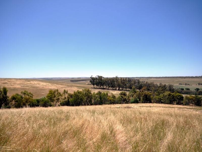 10 Carpenters Road, Shelford VIC 3329