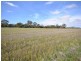 Lot 2 PS331595 Steiglitz Road, Sutherlands Creek VIC 3331