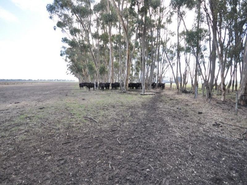 Stonehenge Edgars Road, Derrinallum VIC 3325