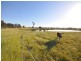 256 Canny Road “NANGARA”, Eppalock VIC 3551
