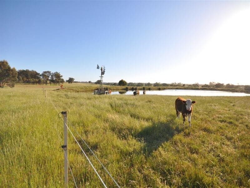 256 Canny Road “NANGARA”, Eppalock VIC 3551