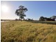 256 Canny Road “NANGARA”, Eppalock VIC 3551