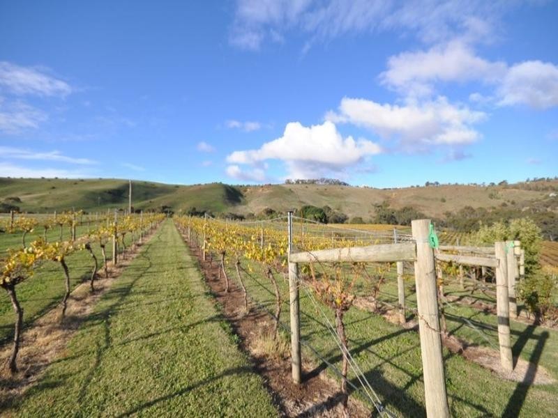 60 Spiller Road, Maude VIC 3331