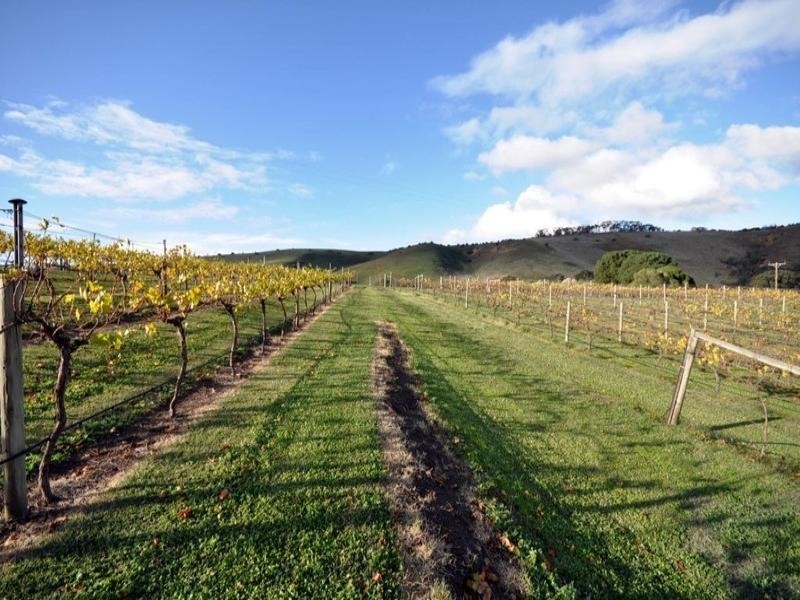 60 Spiller Road, Maude VIC 3331