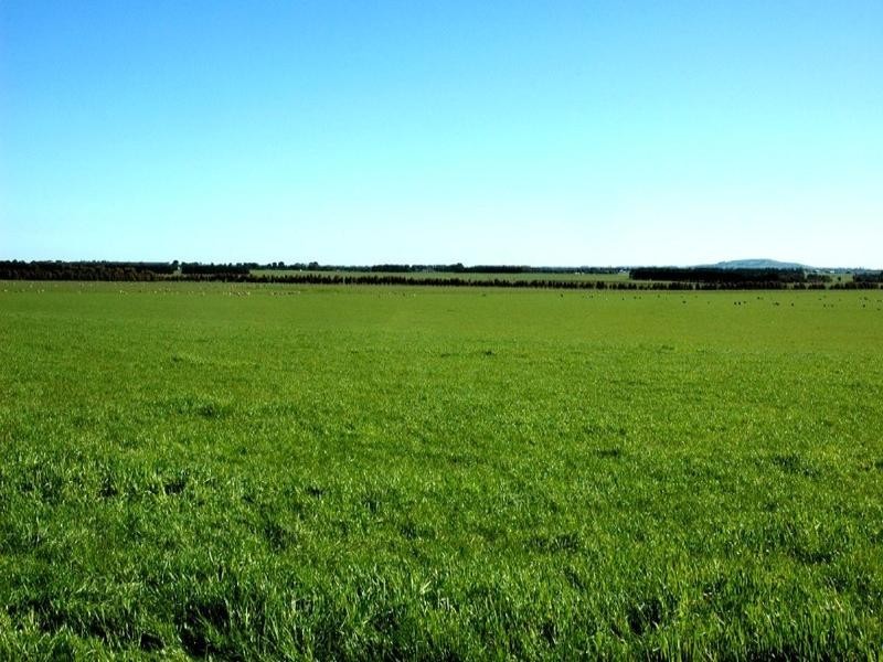 Lot 1 and 2/ 3615 Cape Otway Road, Birregurra VIC 3242