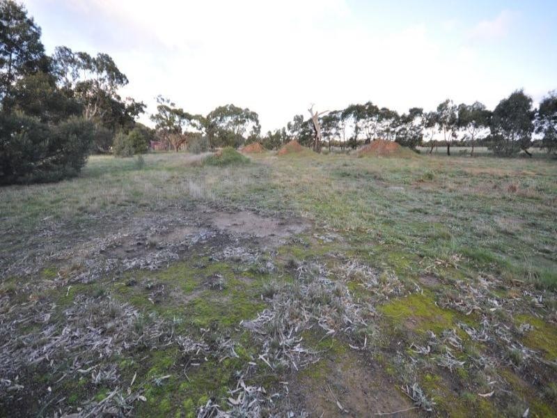 Lot 6/25 Holder Road, Bannockburn VIC 3331