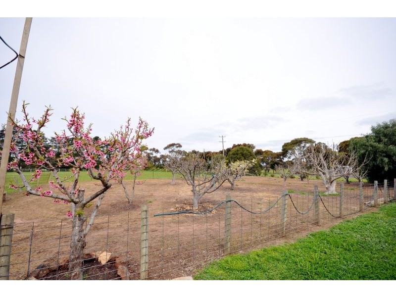 19 Garonne Drive, Bannockburn VIC 3331