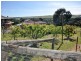 24 Thomson Street, Shelford VIC 3329