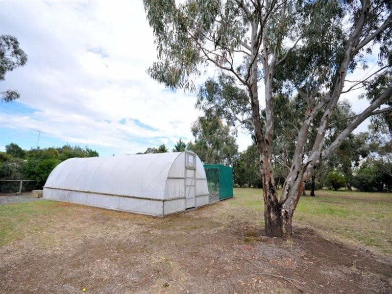 19 Redgum Drive, Teesdale VIC 3328