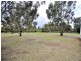 19 Redgum Drive, Teesdale VIC 3328