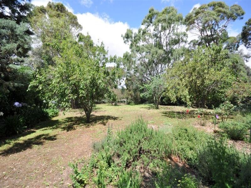 16 Willis Street, Teesdale VIC 3328