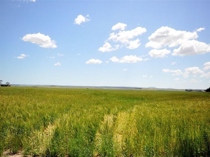 Lot 1 Cnr Clyde Hill Road, Bannockburn VIC 3331